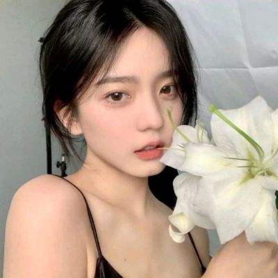 迷雾公式官方版下载